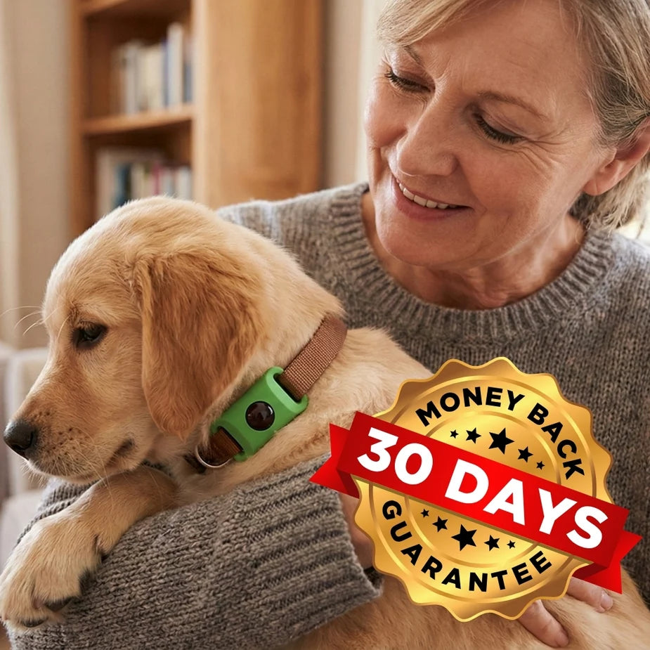 30-Day money-back guarantee