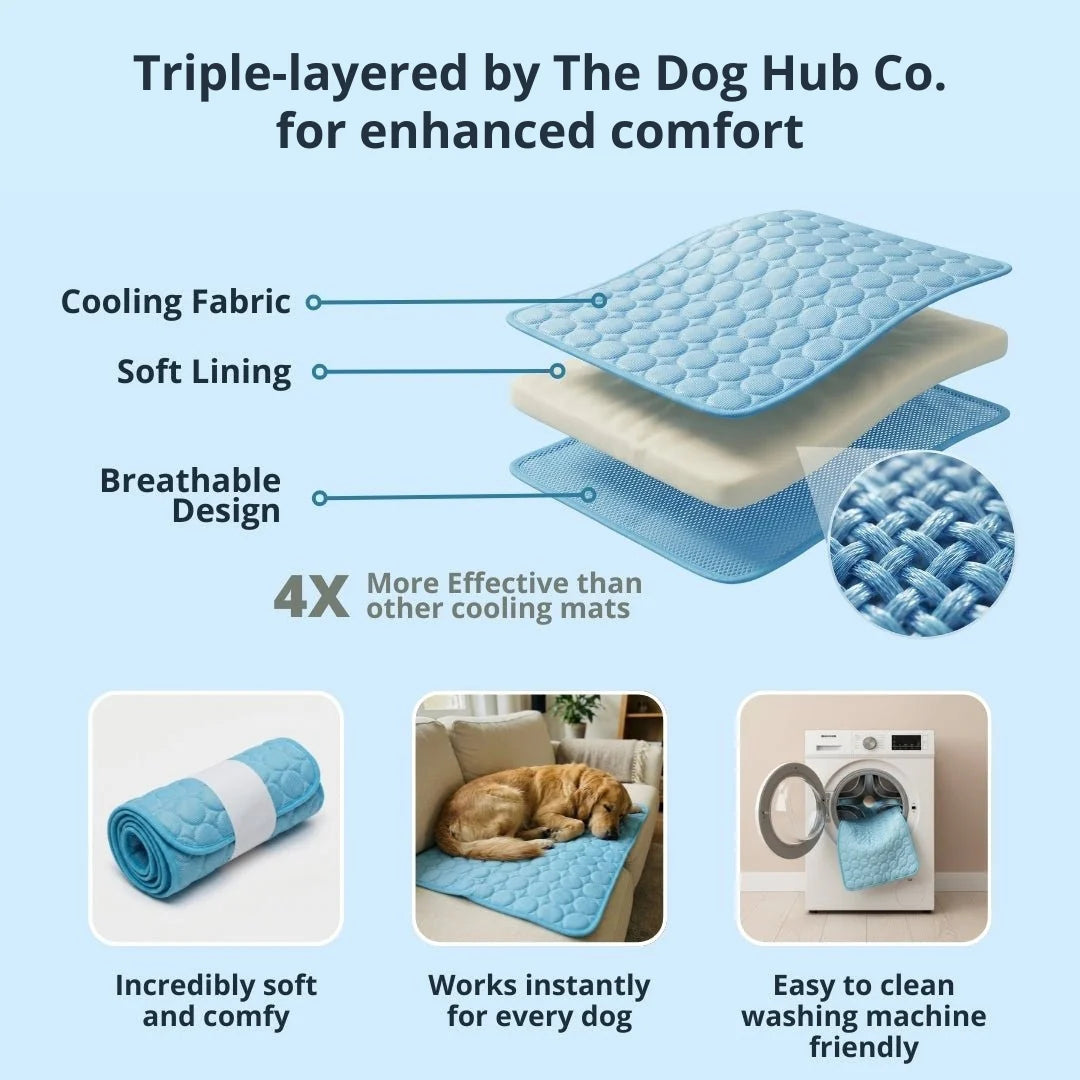 Create a Cool Oasis For Your Dog
