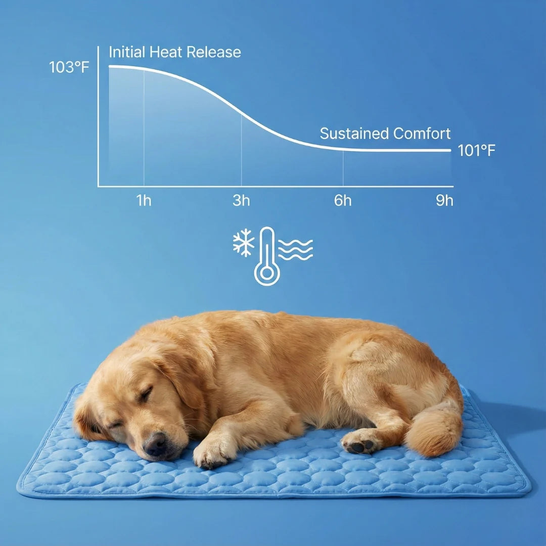 Protect Your Furry Friend